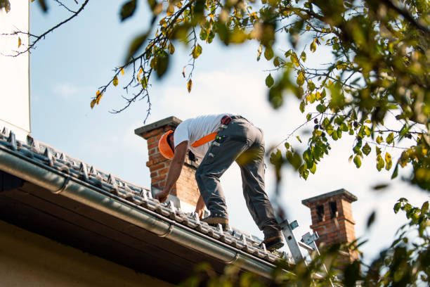 Best Roof Gutter Cleaning  in Malvern, IA