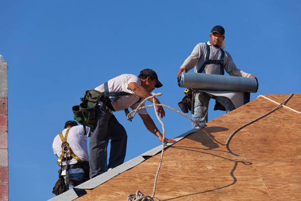 Best Metal Roofing Contractor  in Malvern, IA